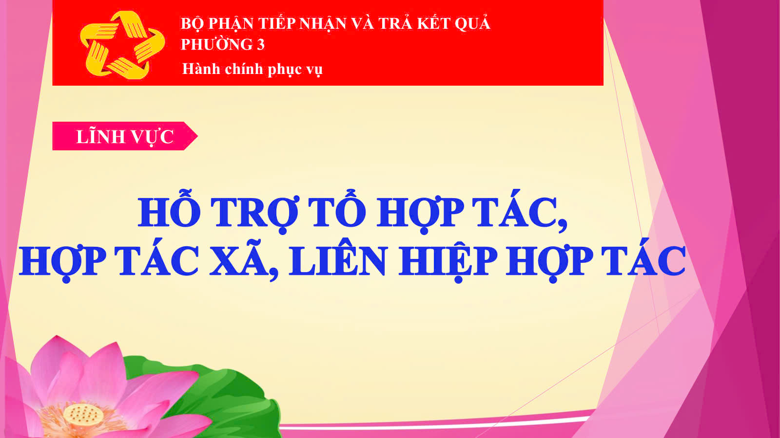 Lĩnh vực hỗ trợ tổ hợp tác, hợp tác xã, liên hiệp hợp tác xã